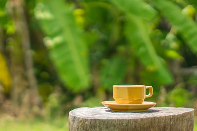 Close-up of coffee cup on table