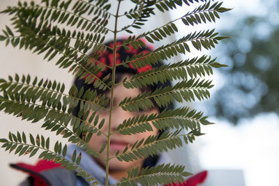 Close-up of boy holding leaves standing outdoors