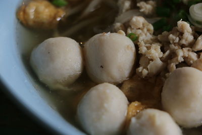 Close-up of served food in plate