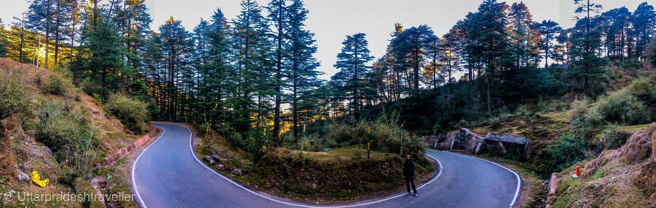 ROAD AMIDST TREES AGAINST SKY