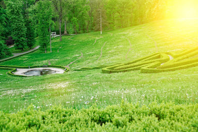 Scenic view of land