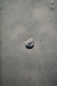 High angle view of crab on sand
