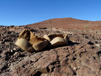 Scenic view of rock formation against clear sky