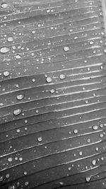Full frame shot of raindrops on wooden plank