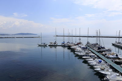 Sailboats in marina