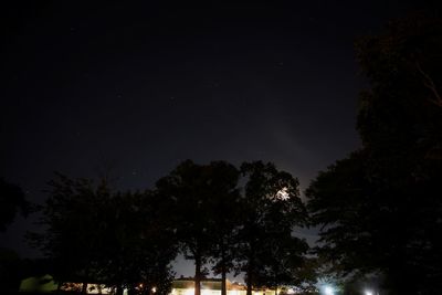 Low angle view of trees against sky