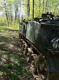 Train on railroad track in forest