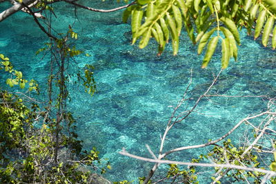 Scenic view of sea