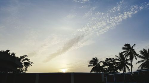 Low angle view of silhouette trees against sky