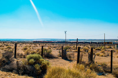 Scenic view of field against clear blue sky