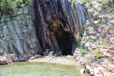Scenic view of trees by rocks