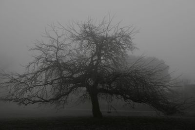 Bare tree on field against sky during foggy weather