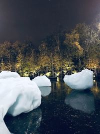 Frozen lake by trees during winter