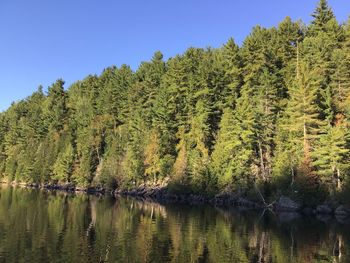Scenic view of lake against clear sky