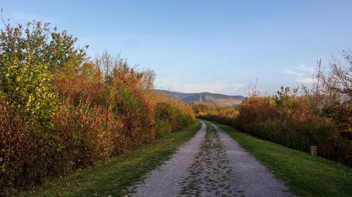 Road amidst trees against sky during autumn