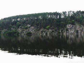 Reflection of trees in lake