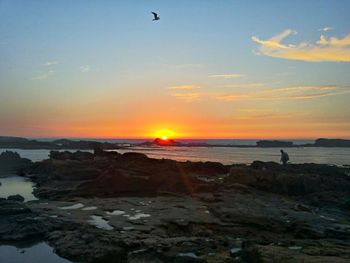 Scenic view of sea at sunset