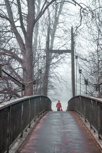 Rear view of people walking on snow covered bare trees