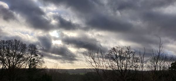 Low angle view of bare trees against sky