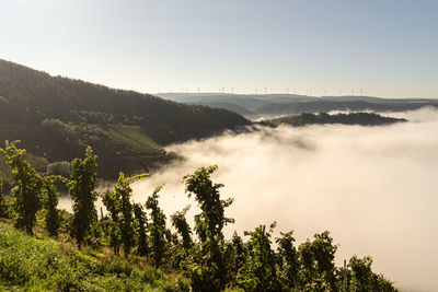 Scenic view of mountains against clear sky