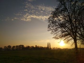 Silhouette trees on field against sky at sunset