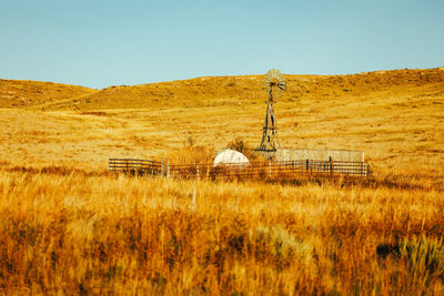 Scenic view of field against clear sky