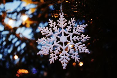 Close-up of christmas tree