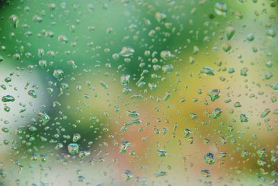 Full frame shot of water drops on glass