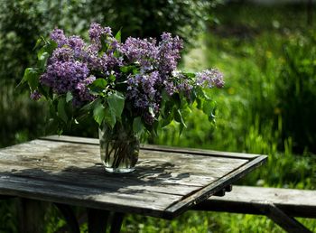 Purple flower in vase on table