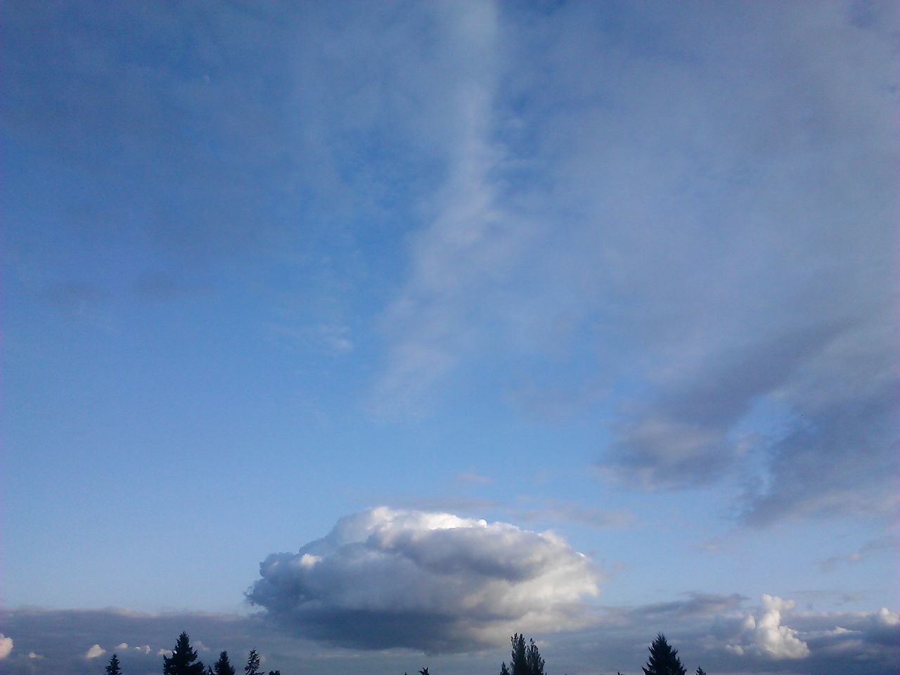 low angle view, sky, cloud - sky, blue, beauty in nature, tree, tranquility, nature, scenics, cloud, cloudy, tranquil scene, silhouette, outdoors, high section, day, no people, idyllic, cloudscape, sunlight