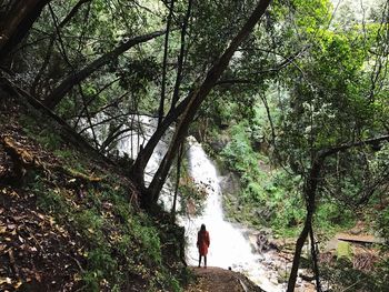 Man walking by river in forest