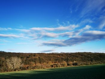 Scenic view of land against sky