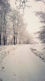 Bare trees on snow covered landscape