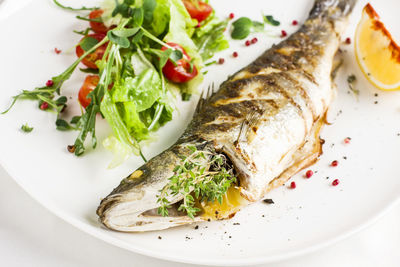 High angle view of fish served in plate