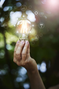 Hand holding lightbulb