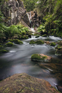 Scenic view of river stream