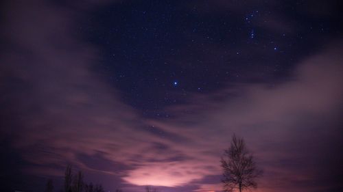 Low angle view of silhouette trees against sky at night