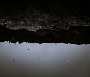 Reflection of trees in water