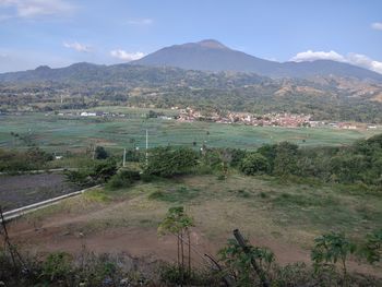 Scenic view of field against sky