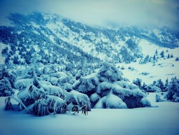 Scenic view of snowcapped mountains against sky