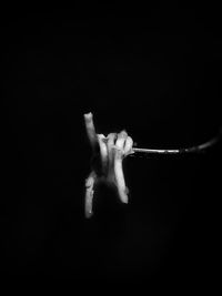 black background