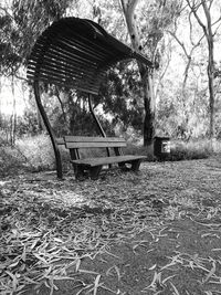 Empty bench in park