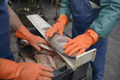 Man working in fish for sale at market