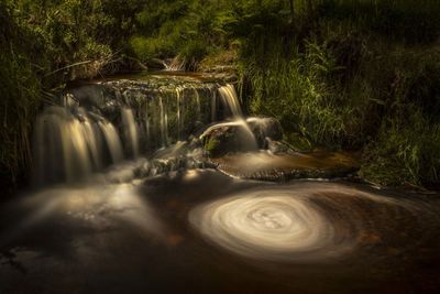 Waterfall in forest