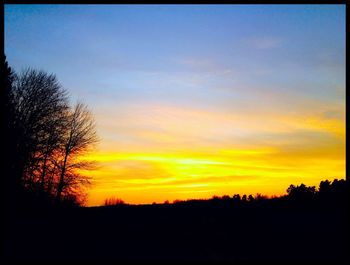 Silhouette of trees at sunset