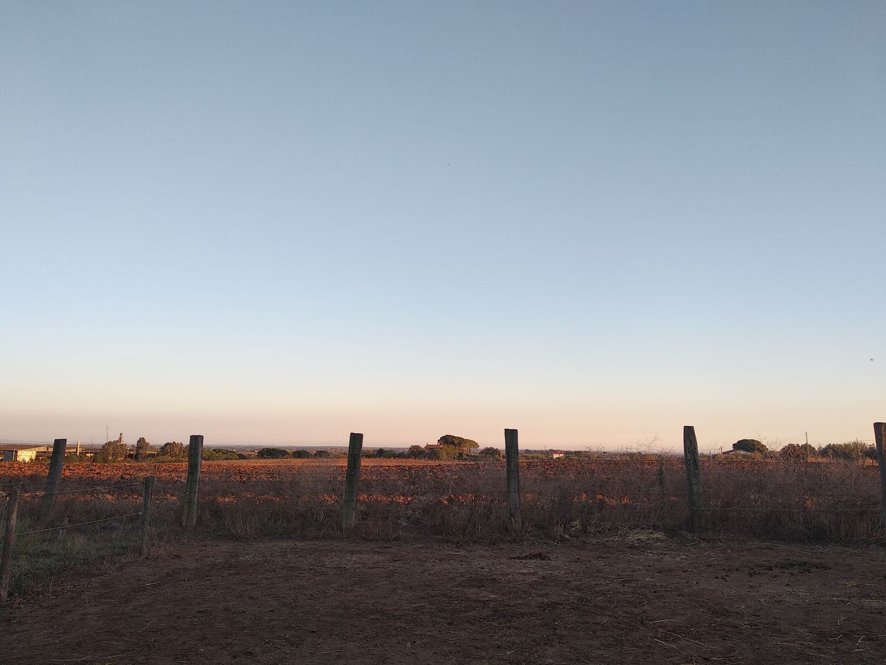 WOODEN POSTS ON FIELD AGAINST CLEAR SKY