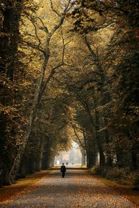 People walking on road