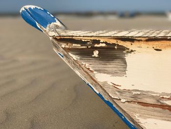 Close-up of beach against sky