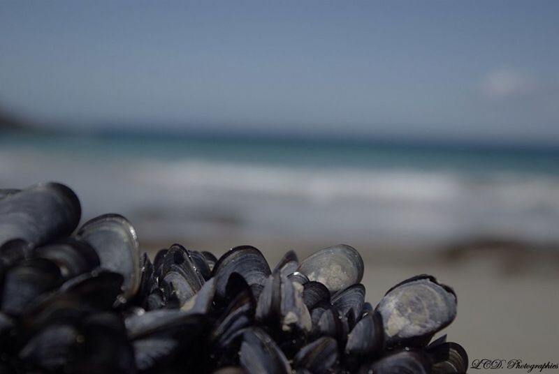 focus on foreground, close-up, selective focus, beach, pebble, stone - object, large group of objects, stack, metal, tranquility, nature, shore, day, sea, sky, outdoors, abundance, no people, water, balance