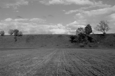 Trees on field against cloudy sky